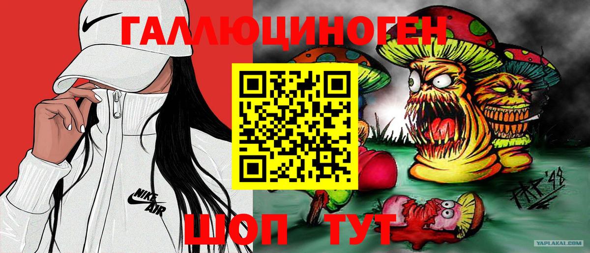 Галлюциногенные грибы Psilocybine cubensis Ялуторовск